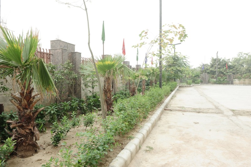November-2018 19