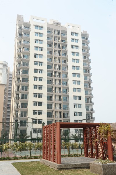January-2019 65