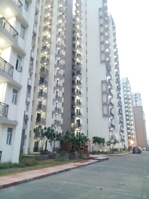 August-2018 77